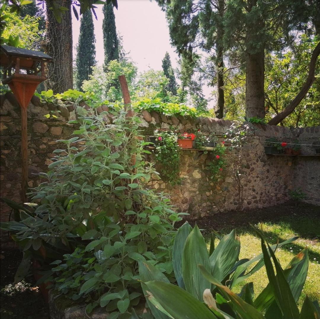 Апартаменти La Casa Di Marzia Бардоліно Екстер'єр фото